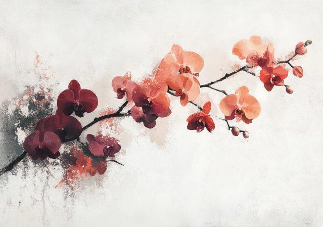 cuadro Orquídeas en Acuarela