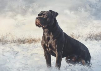 cuadro Cane Corso Centinela del Invierno